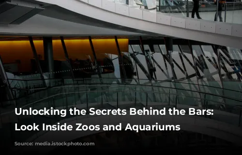 Unlocking the Secrets Behind the Bars: A Look Inside Zoos and Aquariums