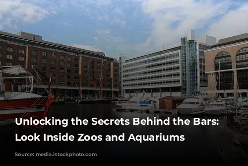 Unlocking the Secrets Behind the Bars: A Look Inside Zoos and Aquariums