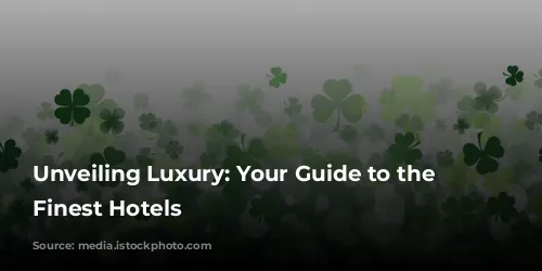 Unveiling Luxury: Your Guide to the World's Finest Hotels