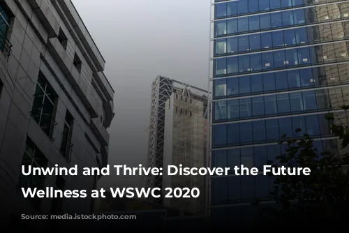 Unwind and Thrive: Discover the Future of Wellness at WSWC 2020