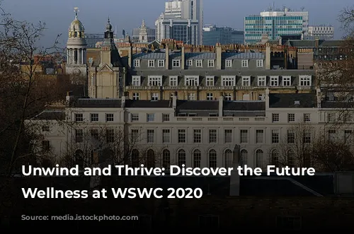 Unwind and Thrive: Discover the Future of Wellness at WSWC 2020