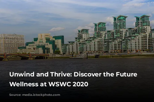 Unwind and Thrive: Discover the Future of Wellness at WSWC 2020