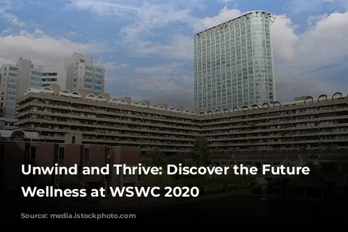 Unwind and Thrive: Discover the Future of Wellness at WSWC 2020