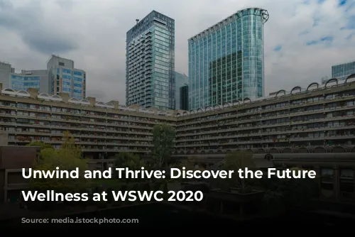 Unwind and Thrive: Discover the Future of Wellness at WSWC 2020