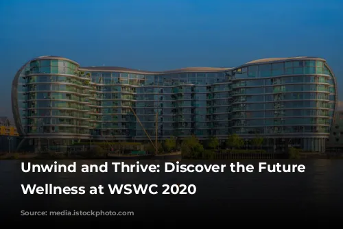 Unwind and Thrive: Discover the Future of Wellness at WSWC 2020