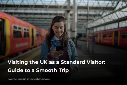 Visiting the UK as a Standard Visitor: Your Guide to a Smooth Trip