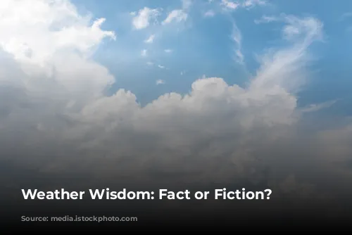 Weather Wisdom: Fact or Fiction?