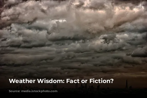 Weather Wisdom: Fact or Fiction?