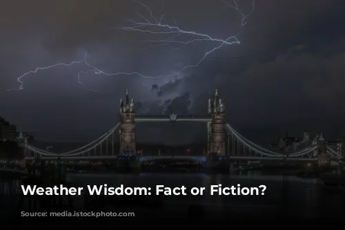 Weather Wisdom: Fact or Fiction?