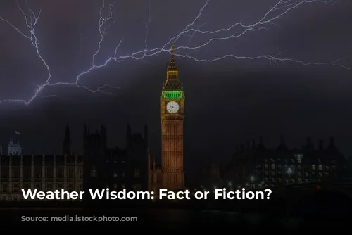 Weather Wisdom: Fact or Fiction?