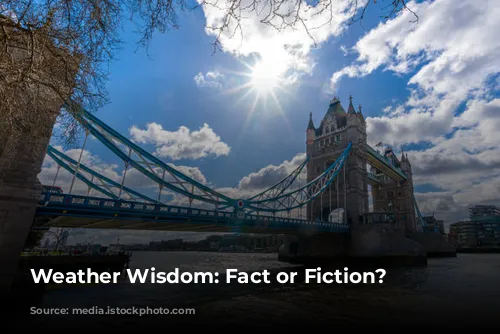 Weather Wisdom: Fact or Fiction?