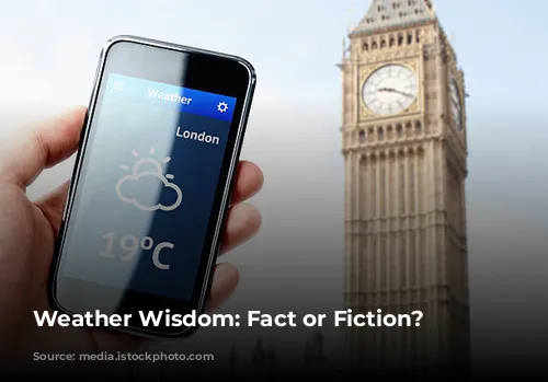 Weather Wisdom: Fact or Fiction?