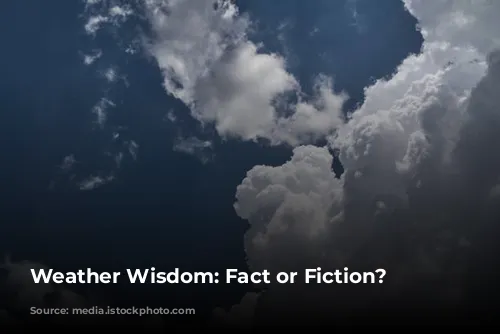 Weather Wisdom: Fact or Fiction?