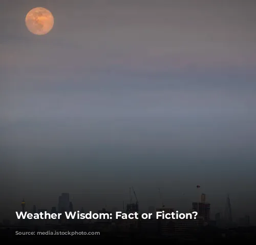 Weather Wisdom: Fact or Fiction?