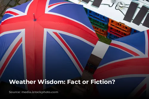 Weather Wisdom: Fact or Fiction?