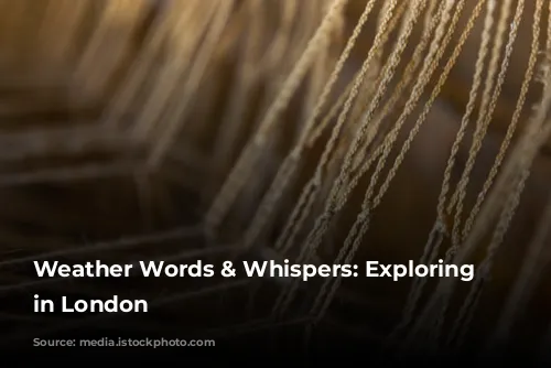 Weather Words & Whispers: Exploring Weather in London