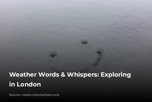 Weather Words & Whispers: Exploring Weather in London