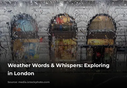 Weather Words & Whispers: Exploring Weather in London