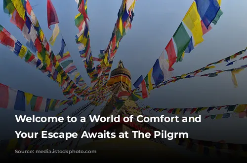 Welcome to a World of Comfort and Discovery: Your Escape Awaits at The Pilgrm