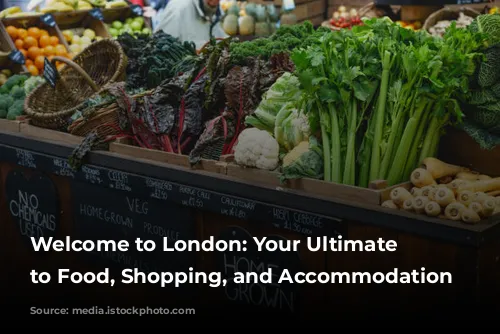 Welcome to London: Your Ultimate Guide to Food, Shopping, and Accommodation