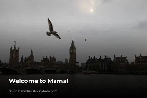 Welcome to Mama!