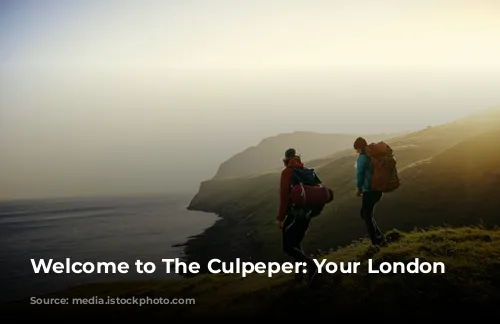 Welcome to The Culpeper: Your London Oasis