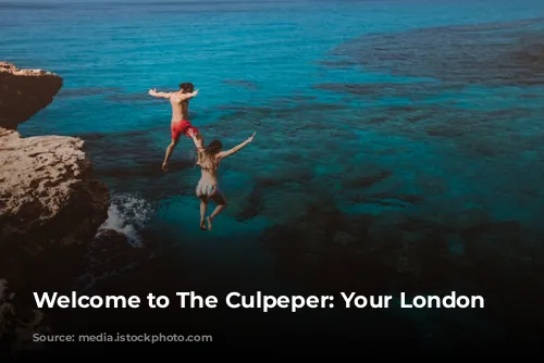 Welcome to The Culpeper: Your London Oasis