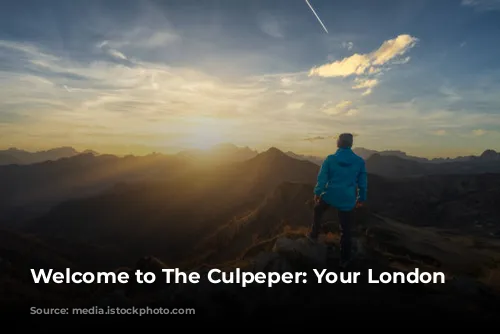 Welcome to The Culpeper: Your London Oasis