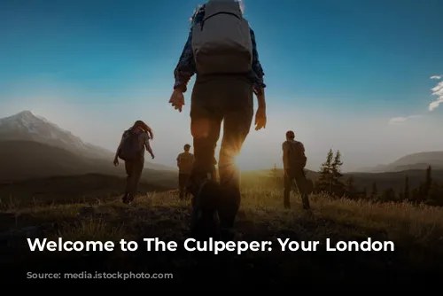 Welcome to The Culpeper: Your London Oasis