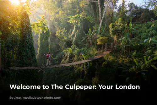 Welcome to The Culpeper: Your London Oasis