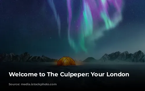 Welcome to The Culpeper: Your London Oasis