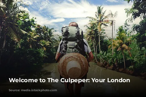 Welcome to The Culpeper: Your London Oasis