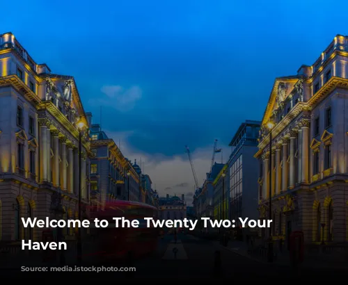 Welcome to The Twenty Two: Your London Haven