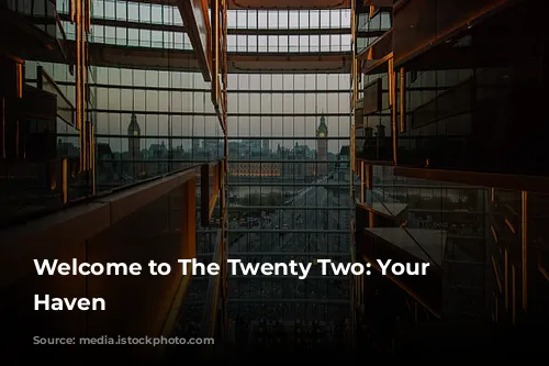 Welcome to The Twenty Two: Your London Haven