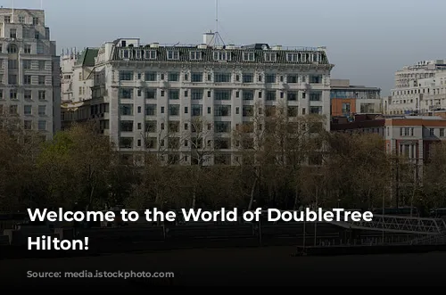 Welcome to the World of DoubleTree by Hilton!