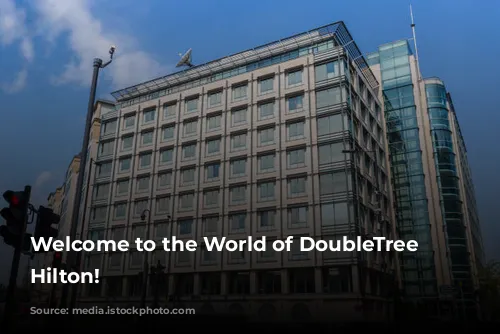 Welcome to the World of DoubleTree by Hilton!