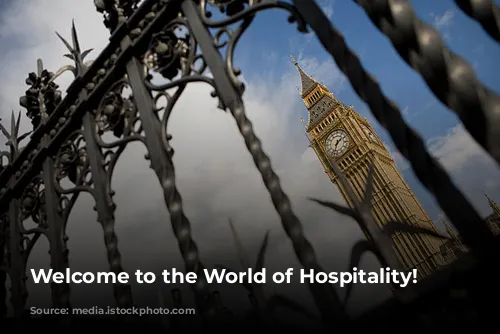 Welcome to the World of Hospitality!