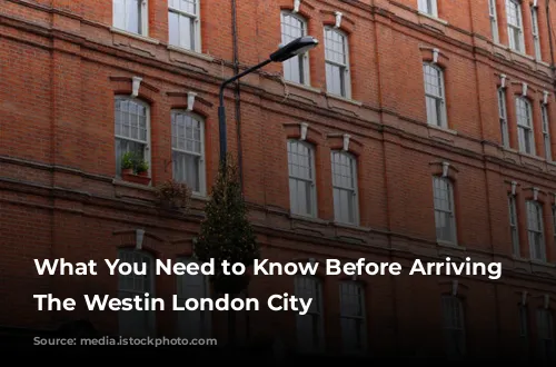 What You Need to Know Before Arriving at The Westin London City