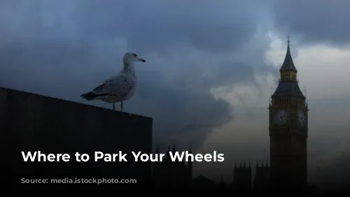 Where to Park Your Wheels