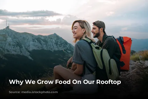 Why We Grow Food On Our Rooftop