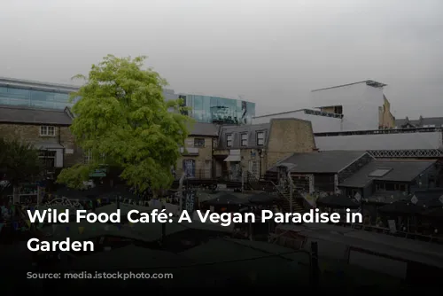 Wild Food Café: A Vegan Paradise in Covent Garden