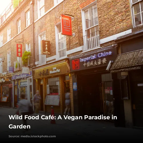 Wild Food Café: A Vegan Paradise in Covent Garden