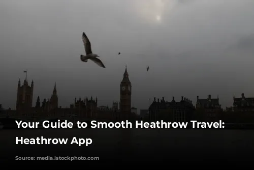 Your Guide to Smooth Heathrow Travel: The Heathrow App