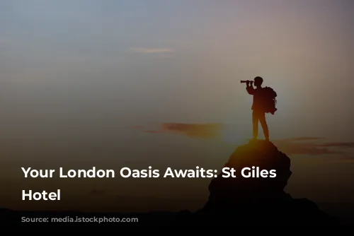 Your London Oasis Awaits: St Giles London Hotel