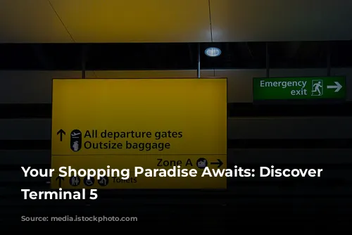 Your Shopping Paradise Awaits: Discover Heathrow Terminal 5