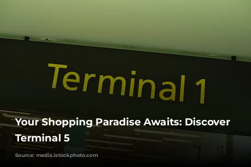 Your Shopping Paradise Awaits: Discover Heathrow Terminal 5