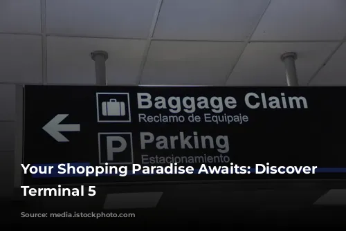 Your Shopping Paradise Awaits: Discover Heathrow Terminal 5