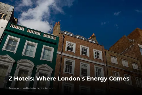 Z Hotels: Where London's Energy Comes Alive