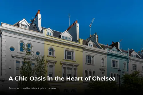 A Chic Oasis in the Heart of Chelsea