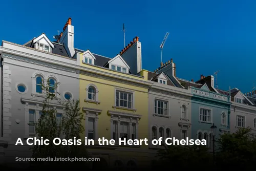 A Chic Oasis in the Heart of Chelsea